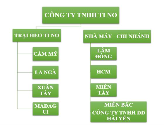 hethongcongty